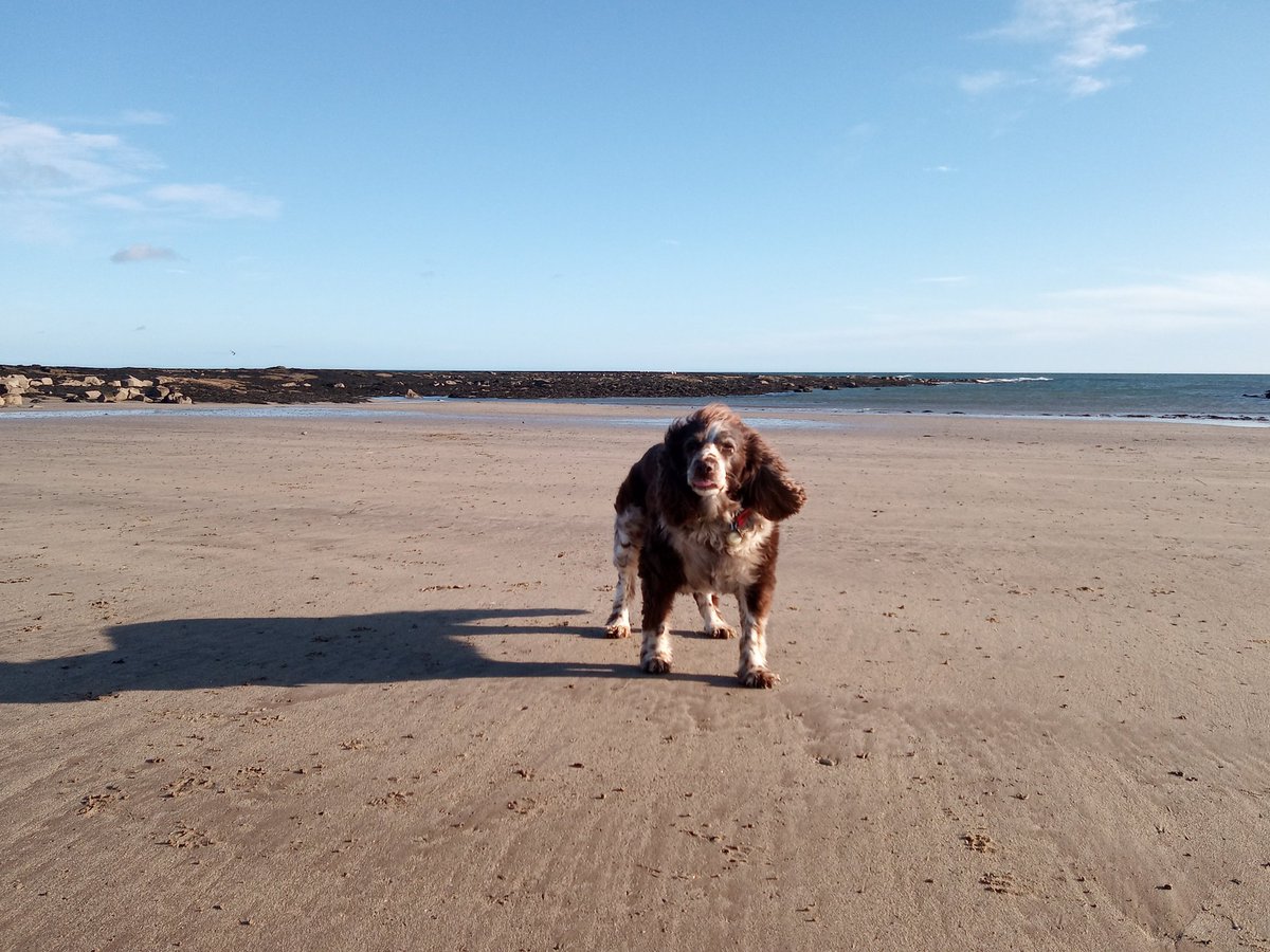 Dave Padgen tweet media