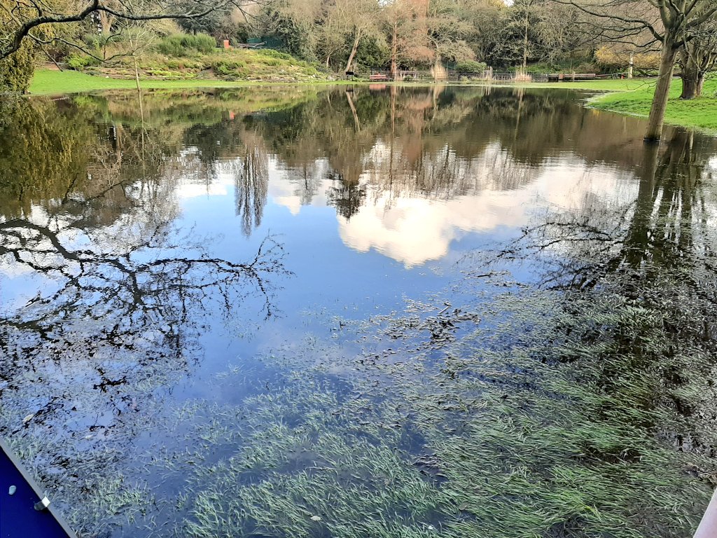 Taliesin2000's tweet photo. Even after several days' pumping the west path @stephenshouse still has 6" of water across its lowest point, and the pond is the biggest flood in living memory: one lady said she'd seen nothing like it in 60 years. https://t.co/EO4sIiHqVU