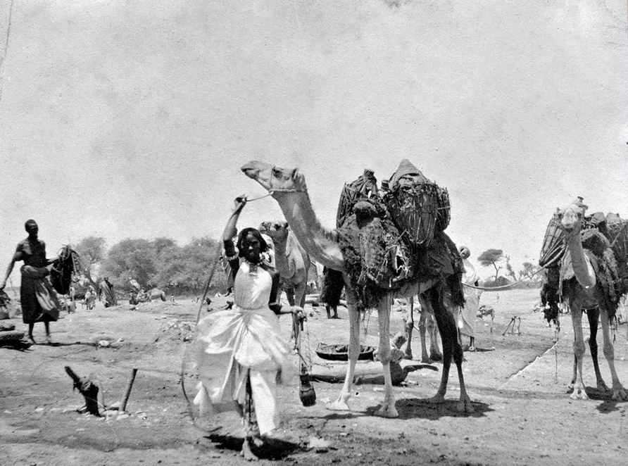 cabdirashed's tweet photo. Sawiradan waxa la qaaday intii u dhaxaysay 1902 - 1902 - waa kaalinta dahabka ah ee ay haweenkeena sharafta leh ee #Somaliland bulshada ugu jireen ee haatan sii laban laabatay. #IWD2020 #Somaliland https://t.co/Pa40LszhOD