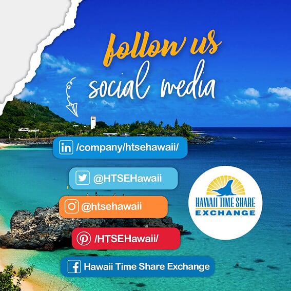 HTSEHawaii's tweet photo. Aloha! Would you like to stay posted about Hawaii Rentals? Follow https://t.co/opm9F7uP3O
Call us (866)860-4873
#HTSE #HawaiiRentals #FollowUs https://t.co/SZX2MKXoiw
