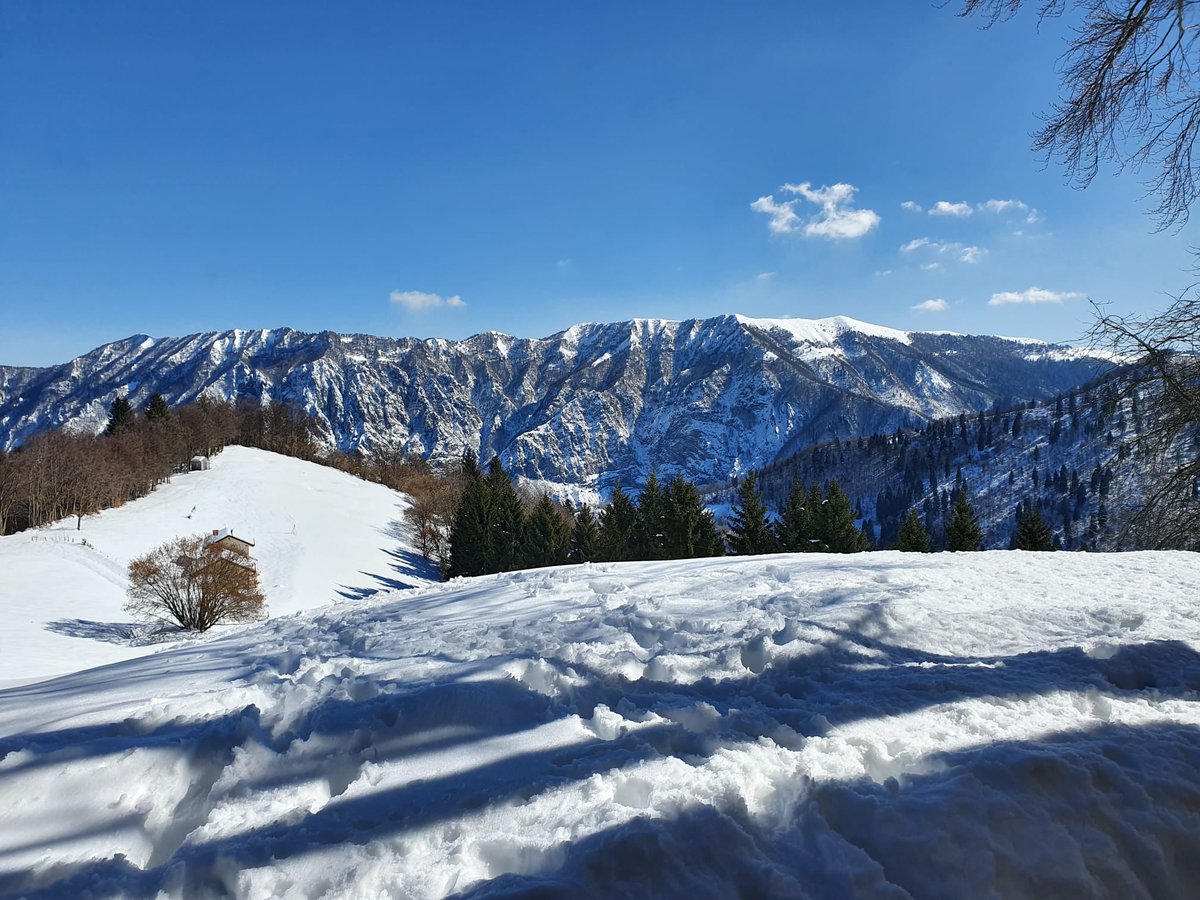 SerendelGrappa's tweet photo. #naturaspettacolare #solaroli #vallediseren @DolomitiPrealpi @TurismoVeneto https://t.co/cHDiNXwcOB