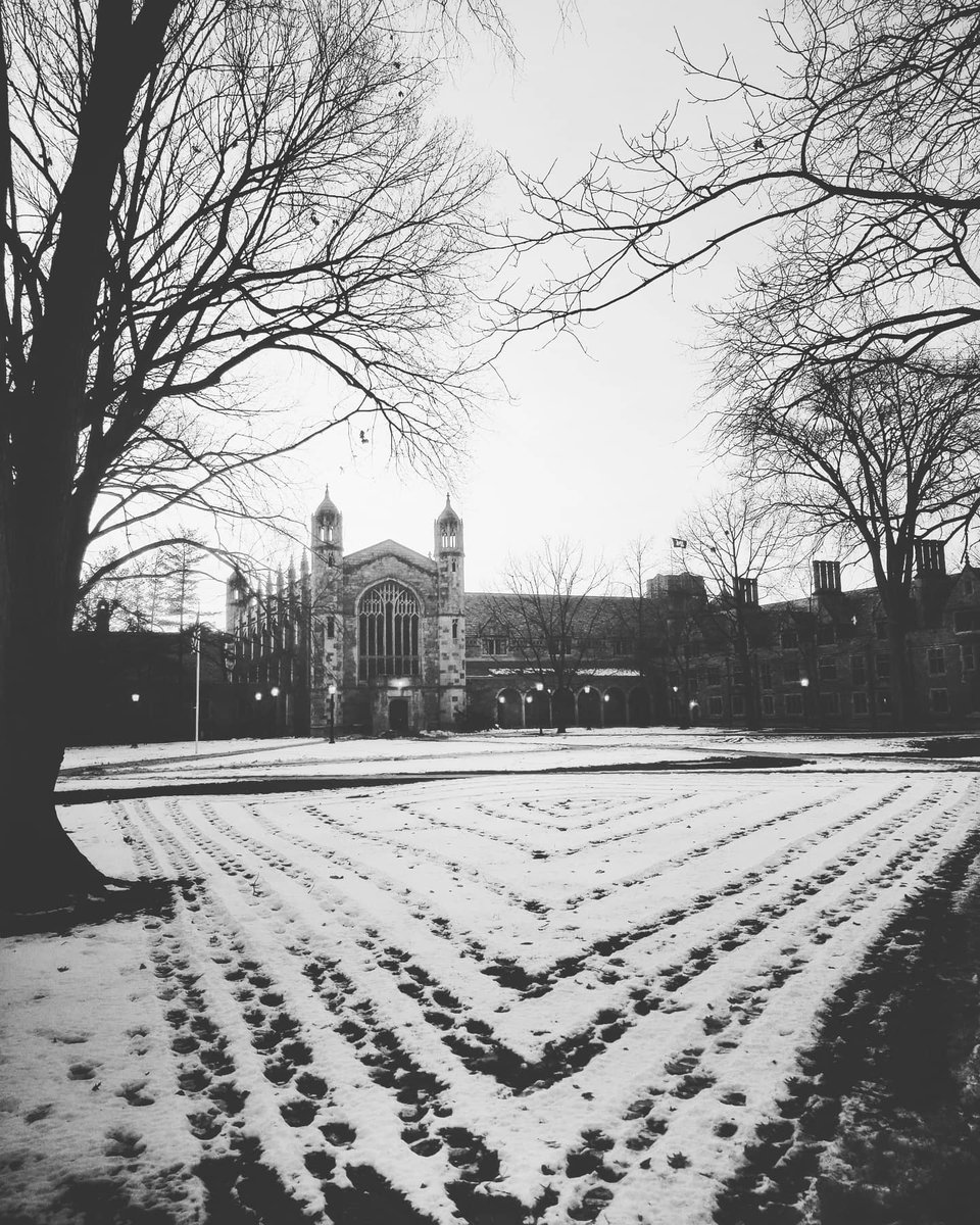 UMichAdmissions's tweet photo. Squares ⏹️  in the Law Quad (📸 : Instagram user @prashantkr). #GoBlue #MAZEandBlue https://t.co/D1z3lZD9iU