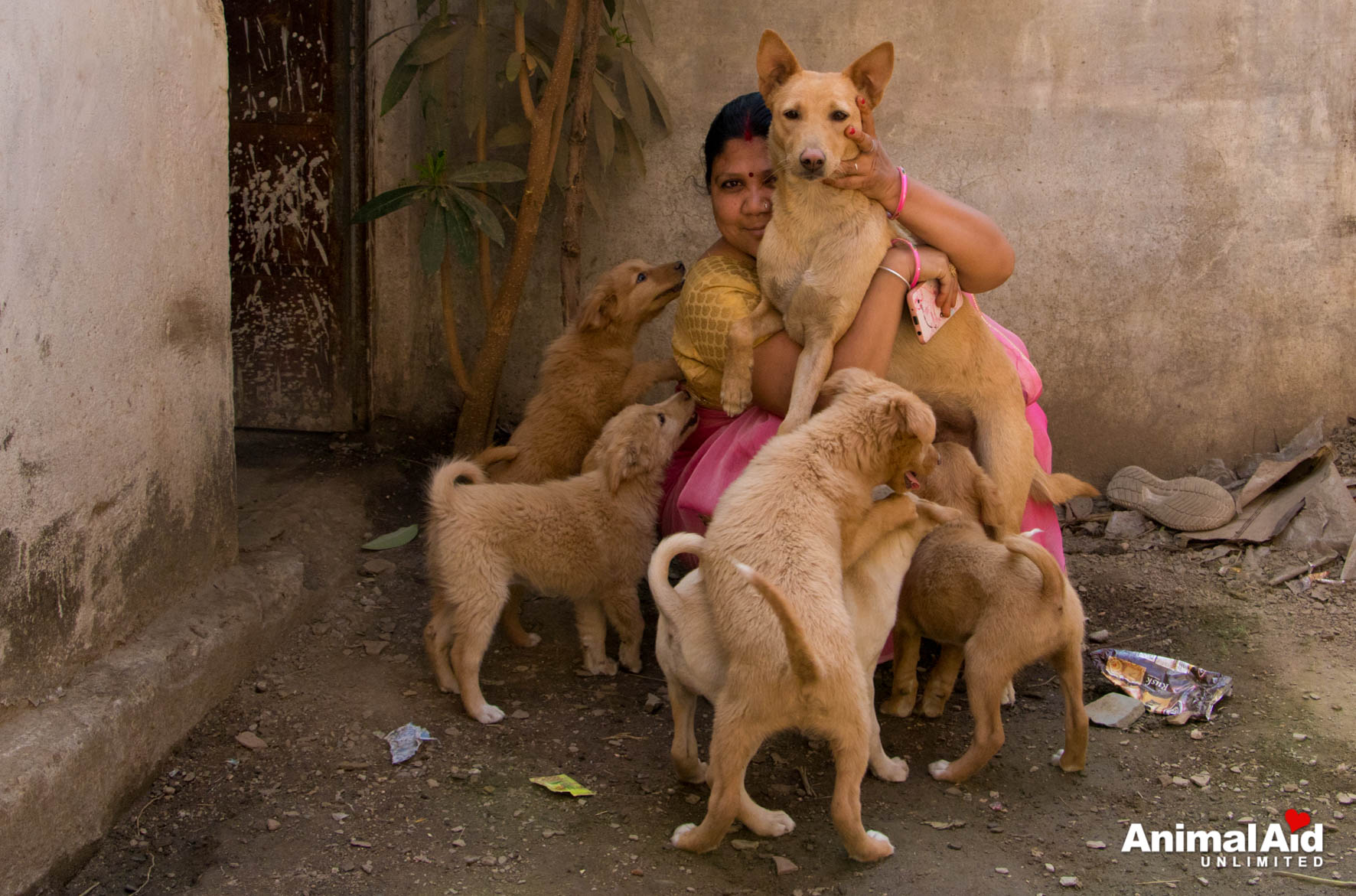 Animal Aid Unlimited on Twitter: Animal Aid Unlimited on Twitter: