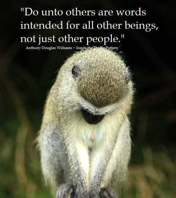 Imam_A_Siddique's tweet photo. @AnimalAid_India 🙏#Namaste #HappyWomensDay #WelcomeToBollywood #Mumbai #India #Dedicating #MyFirstSong from my #MTVShow #TimeOutWithImam for #YourViewingPleasure #BouquetsOfCompliments or #BrictbatsOfCtiticiSMS both kindly requested &amp; welcome in equal measure. #HappyHoli🙏https://t.co/oC8iIrjvjI https://t.co/R7b8M5OKDa