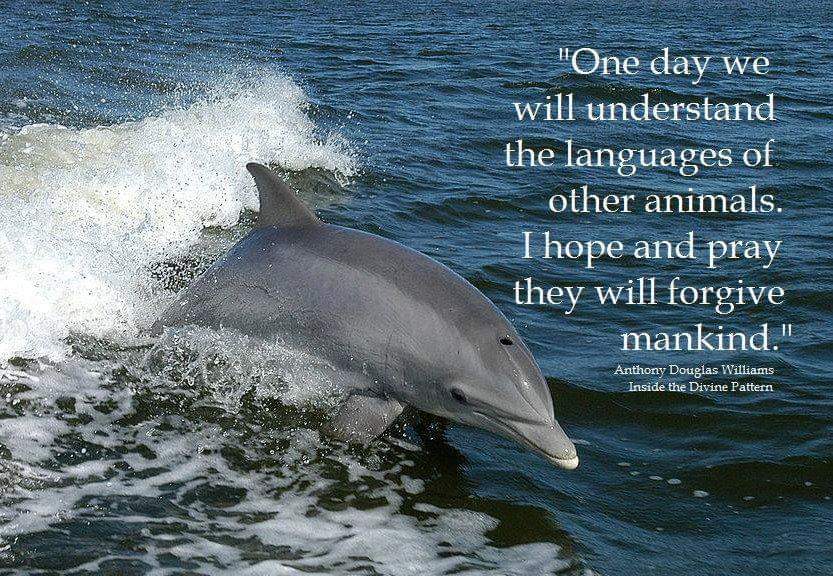 Imam_A_Siddique's tweet photo. @AnimalAid_India 🙏#Namaste #HappyWomensDay #WelcomeToBollywood #Mumbai #India #Dedicating #MyFirstSong from my #MTVShow #TimeOutWithImam for #YourViewingPleasure #BouquetsOfCompliments or #BrictbatsOfCtiticiSMS both kindly requested &amp; welcome in equal measure. #HappyHoli🙏https://t.co/oC8iIrjvjI https://t.co/R7b8M5OKDa