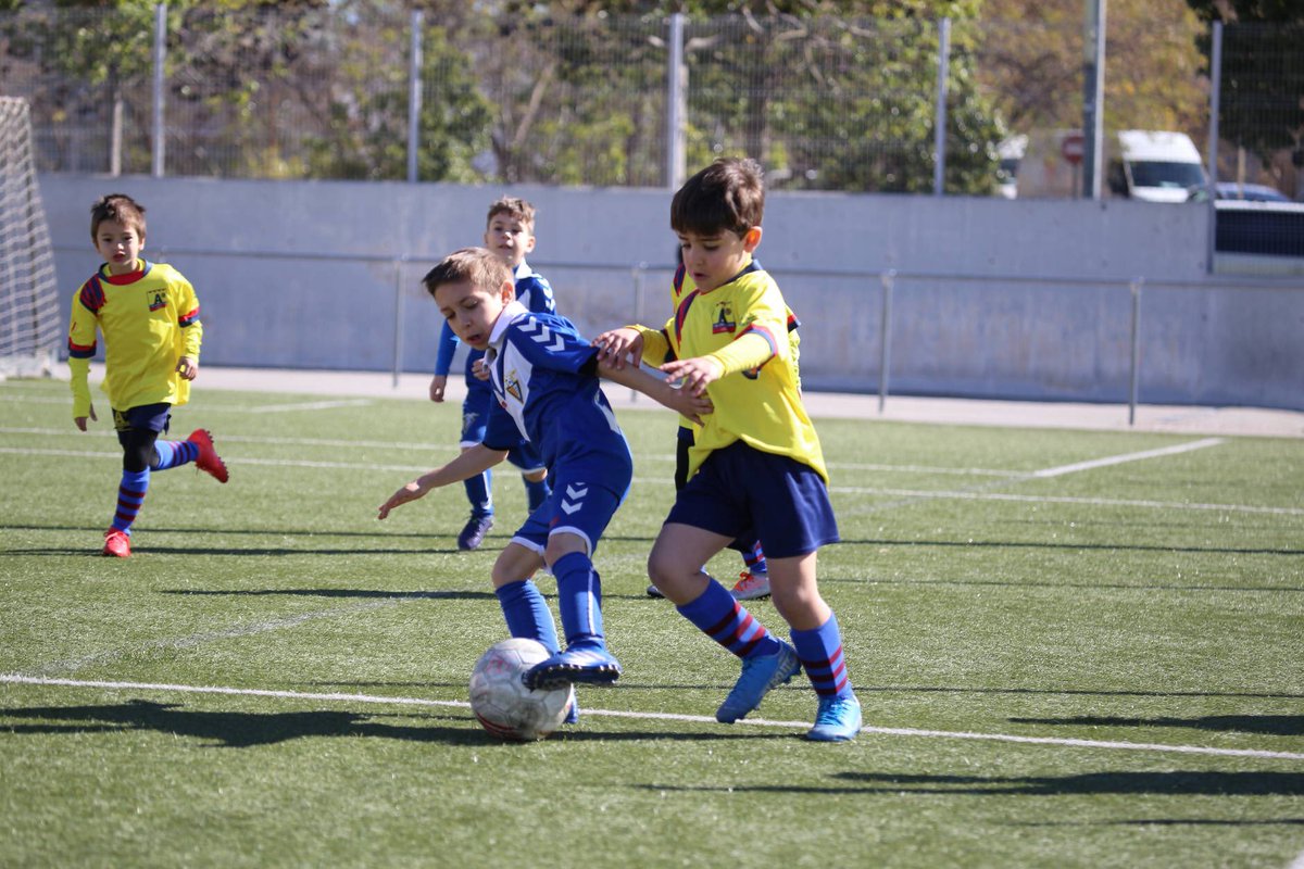 pbanguera's tweet photo. PREBE C |
📸 Fotos del partit del nostre prebe davant el Badalona! Seguim aprenent, seguim creixent!! ⚽️🤩 https://t.co/RXXrN2xQlc