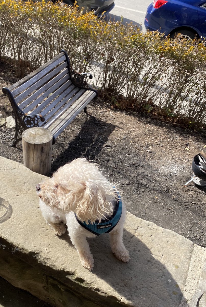 HunterScrumbles's tweet photo. It’s a bask in the sun/breeze kind of day in the D https://t.co/EiJnoonkUn