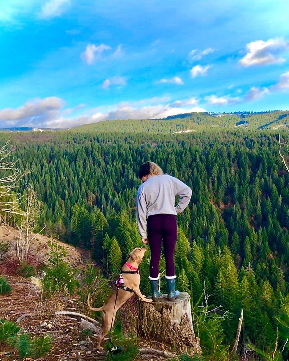 explorebutteca's tweet image. “Here’s to strong women: may we know them, may we be them, may we raise them.” ~Unknown

Happy #InternationalWomensDay

📷 Via IG:
@dani_dawes
@kassandralgraha
@sarah_rich11
@salmonsacriver
