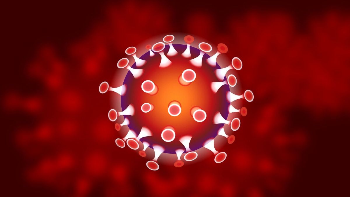 France3CA's tweet photo. Coronavirus : posez vos questions! Edition spéciale EN DIRECT lundi 9 mars 10h45 sur @France3CA 
https://t.co/rnQll1HQUO https://t.co/a9QoVfWgeO