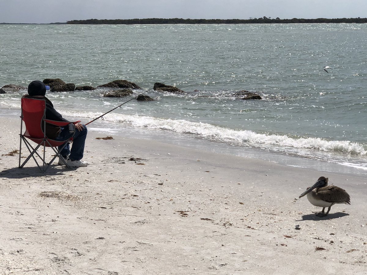 GoWealthBuilder's tweet photo. Tough day on Boca Grande https://t.co/XU8eCN9Srn