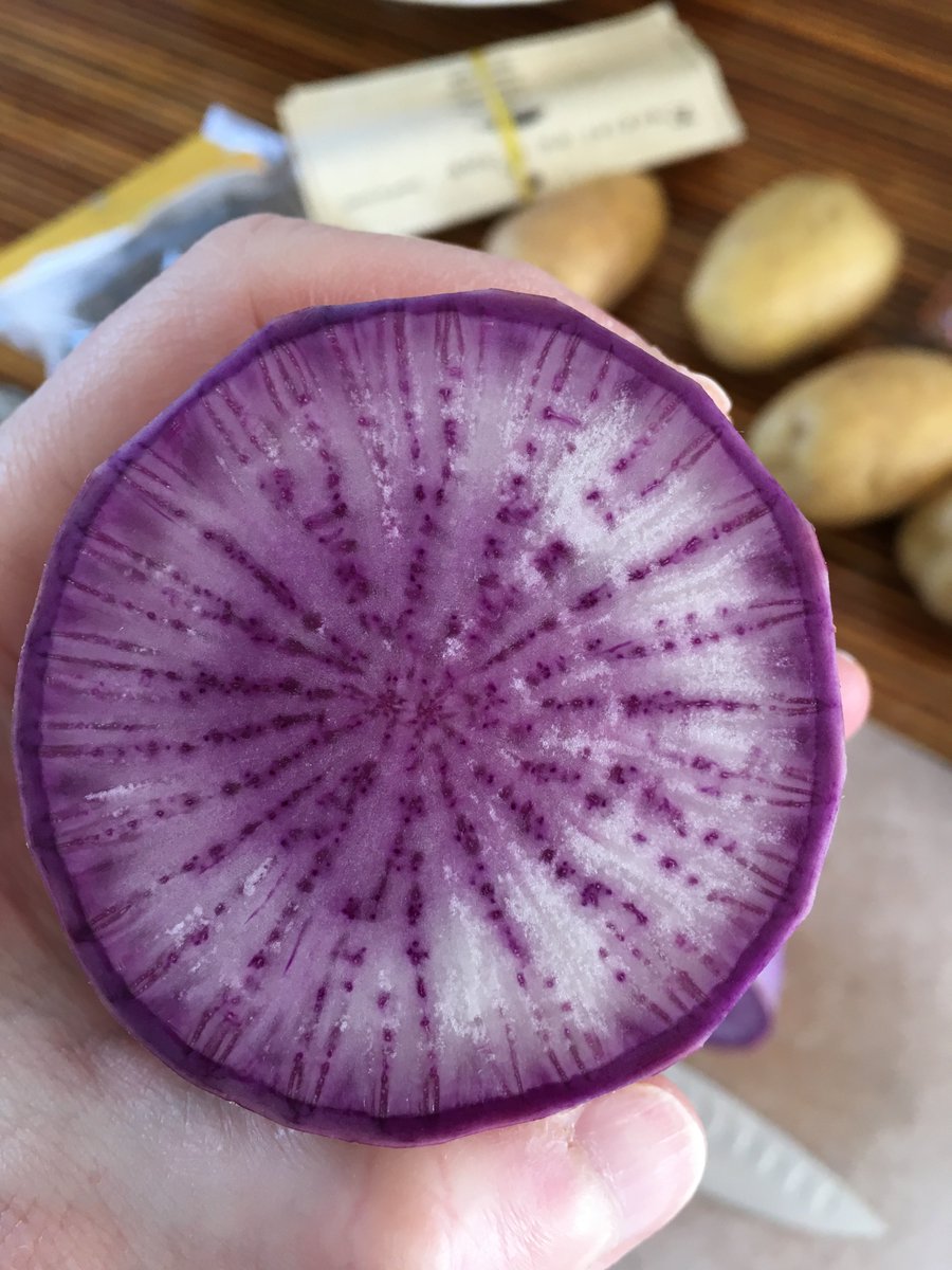 Purple radish is purple