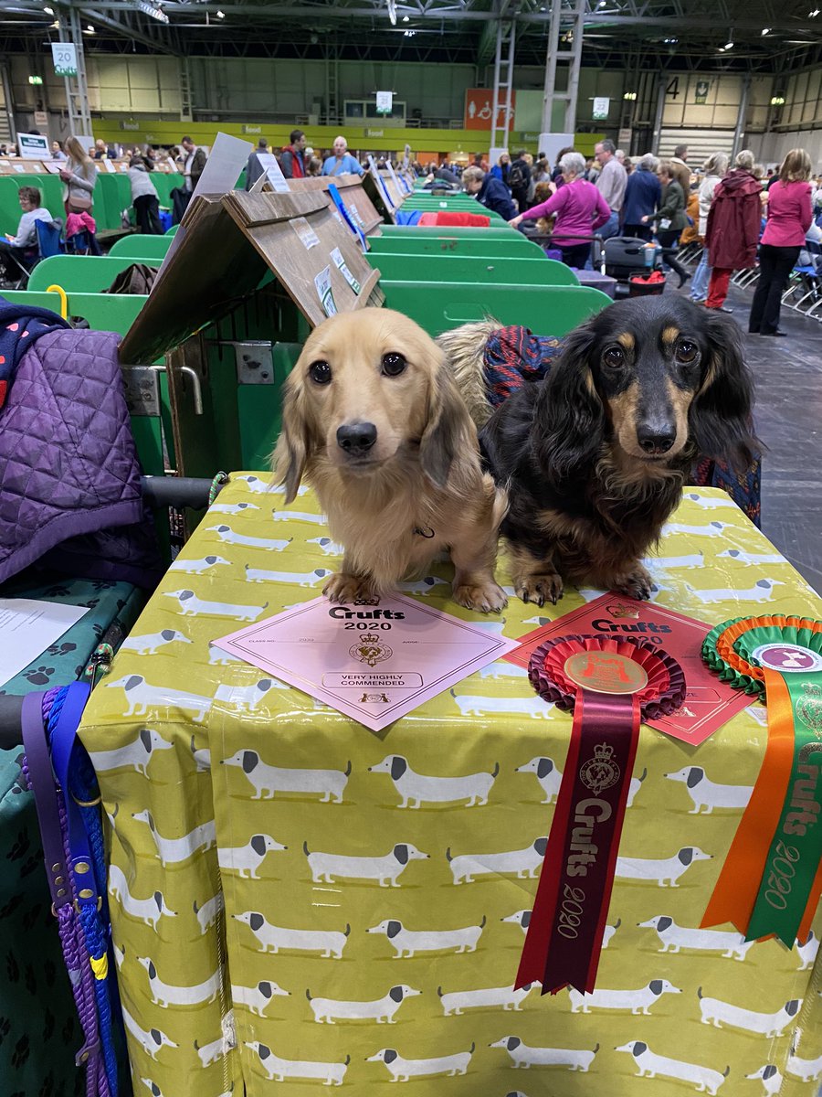 😄🎉