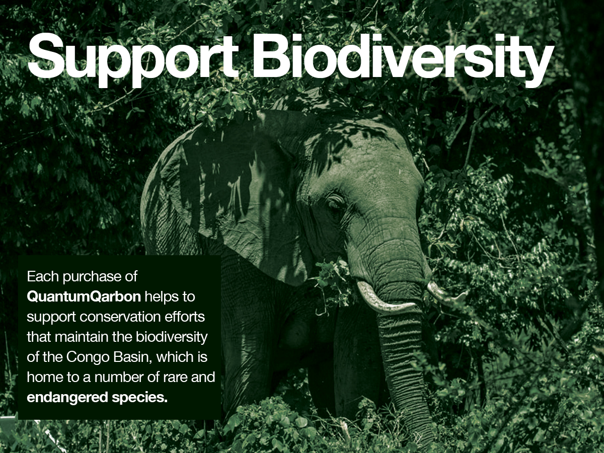 Make your personal &amp; corporate travel and events count - mailchi.mp/planetalphafor…