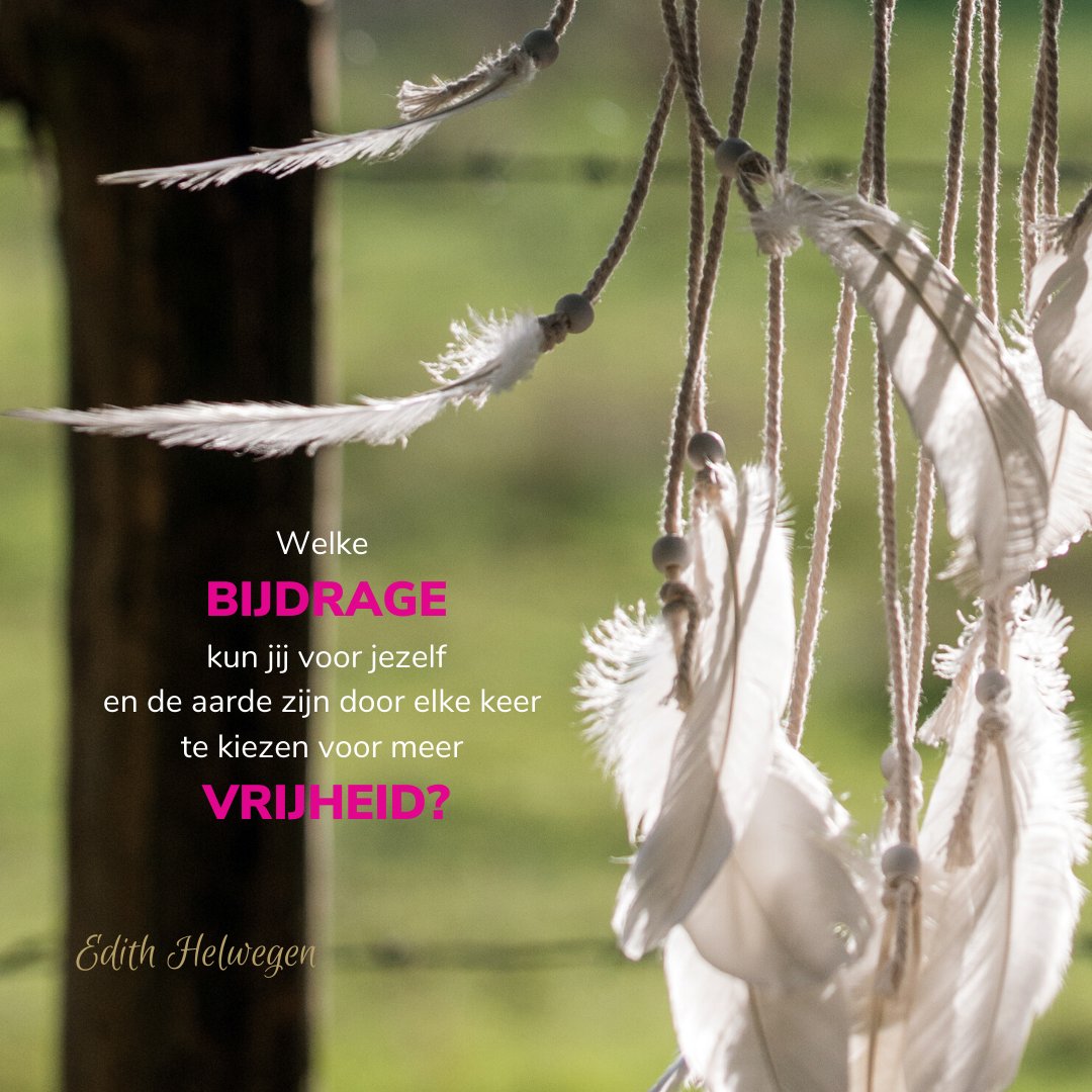 Welke bijdrage kun jij zijn door te kiezen voor meer vrijheid? - edithhelwegen.nl/welke-bijdrage…