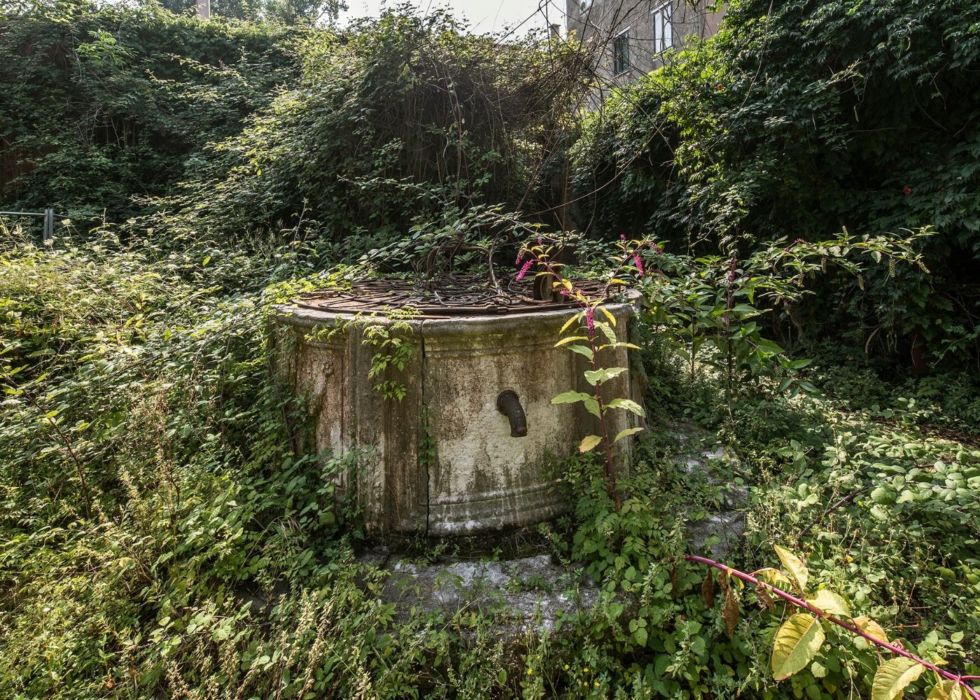 Venezia: ritrovata la Vera da Pozzo di Canaletto e Guardi a San Francesco della Vigna

♦ Scopri di più => bit.ly/38xswjY

🔸Seguici in #Instagram e condividi i tuoi scatti con #venezia360
🔸Unisciti gratuitamente al nostro canale Telegram => t.me/venezia360