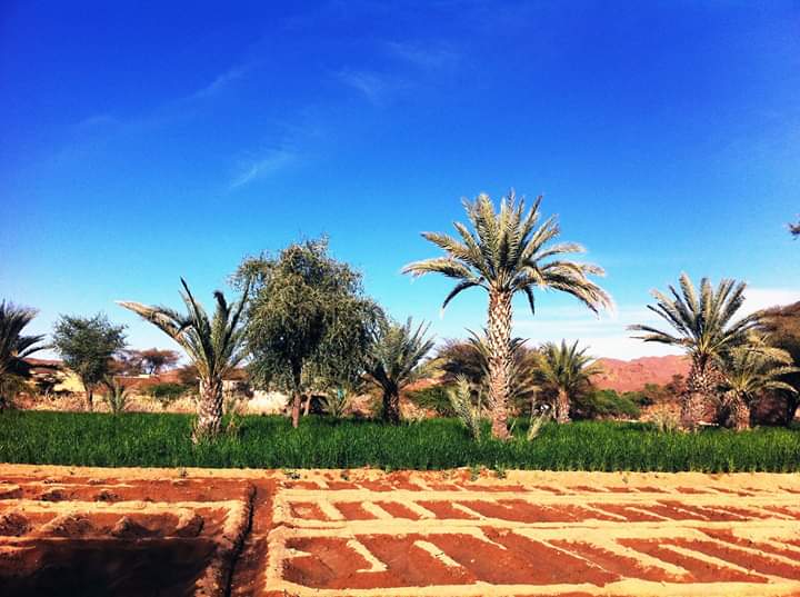 Bonsoir !
#VisitNiger🇳🇪
#VisitAïr⛰️🏝️
#VisitTimia 🌴