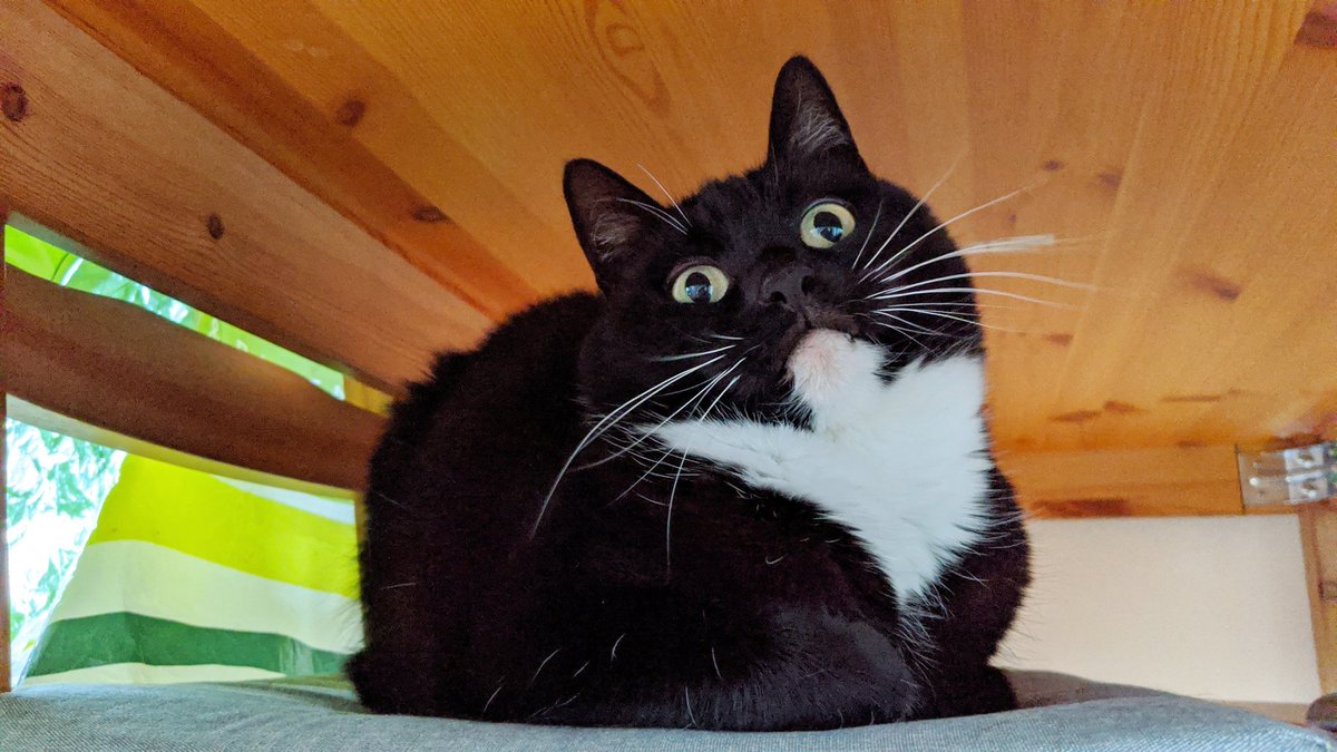 CuriousZelda's tweet image. I have no cash
I have no job
It's not my fault
I'm just a blob