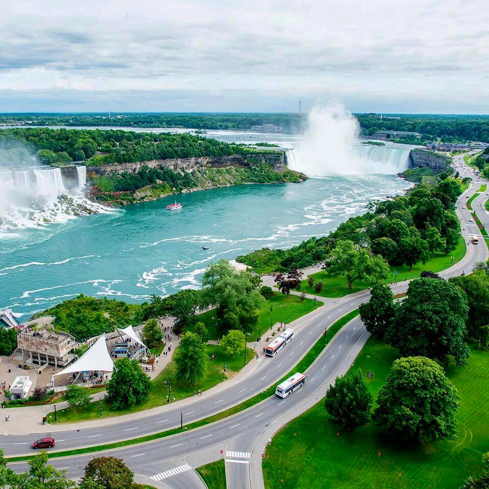 ColaJessice's tweet image. 