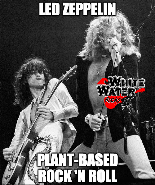 RocksWwr's tweet photo. We hope everyone is having a Great Weekend!!!
White Water Rocks Band Lineup Announcement this WEDNESDAY!!!!   Tickets ON-SALE Friday March 20th
#whiteaterrocks #festival #summer #ottawavalley #camping #rock #indiemusic @OttSpecEvents https://t.co/gNuR5bT0wO