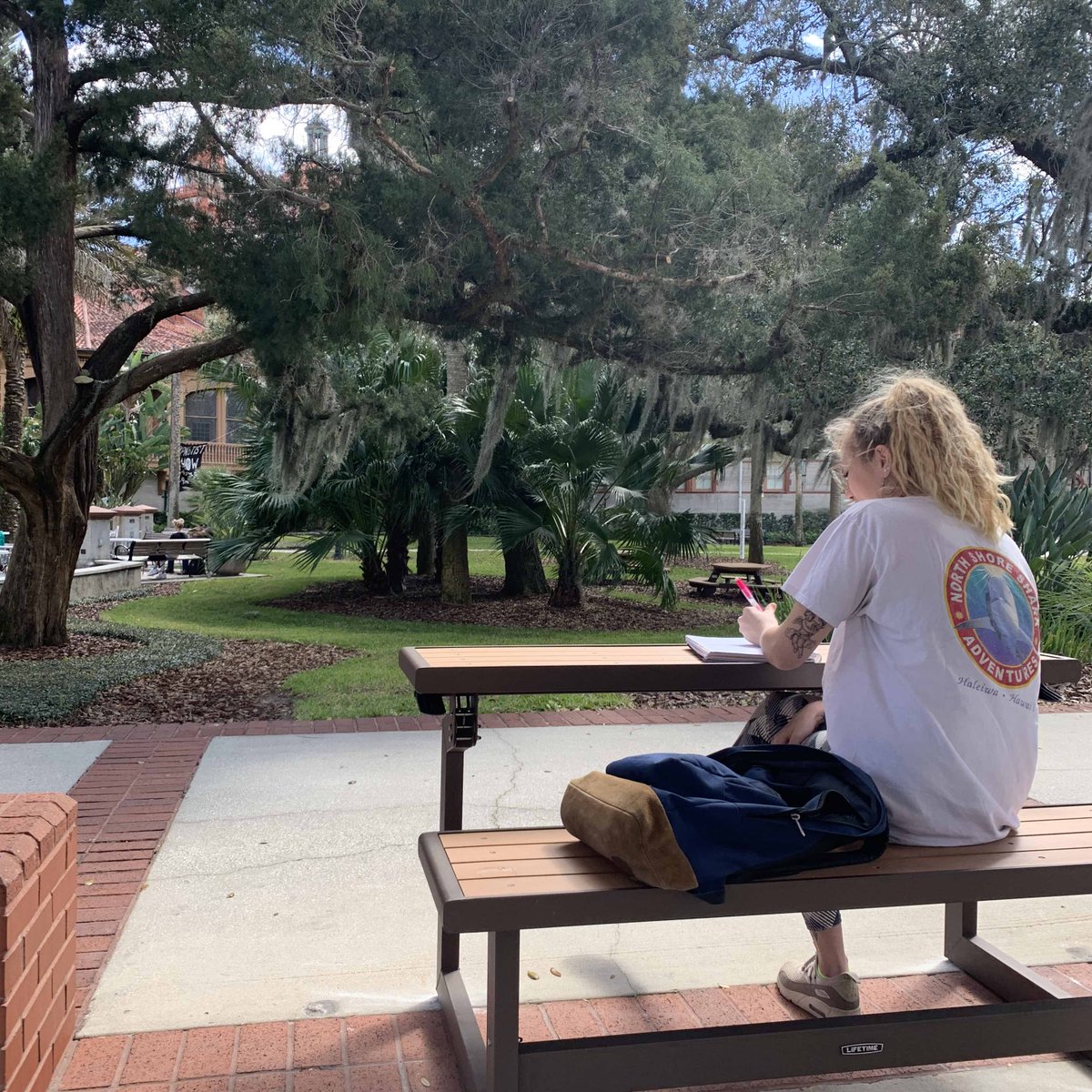 FlaglerCollege's tweet photo. We need everyone to know: we now have benches that turn into tables. WE REPEAT: BENCHES THAT TURN INTO TABLES! (Thanks @FlaglerSGA) 😍 https://t.co/NTGi0OjAFI