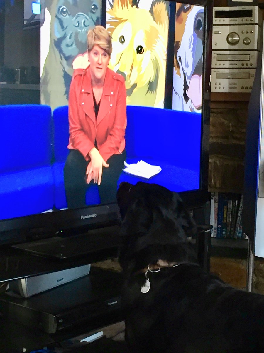 Chris Riddle (@caughleyman) on Twitter photo Bracken loves Crufts (or is it Claire)! #crufts Bracken loves Crufts (or is it Claire)! #crufts