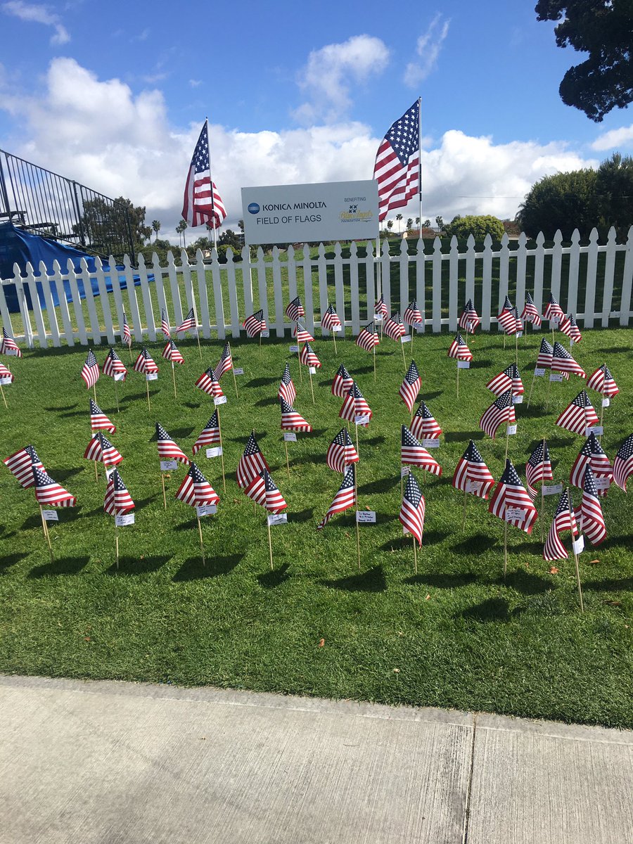 Viktoria Macias tweet media