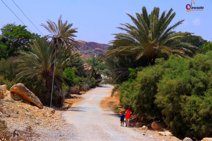 Dalmar_DiriE's tweet photo. Halkani waa #Degmada #eyl #Puntland #Somalia Tas O Caan Ku ah Beraha Iyo xoolaha Nool waa Degmo U Qaybsanta Lapo Qaybood Lana Kala dhho Baday iyo daawad Waxan Ku qaatay Qayp Noloshayda Xiliyo an Tagay #Baahinta #Bilicda #Dalka @Ahmett_Dahir @ArahmaanAhmed @HFaatix @Husseinsabrie https://t.co/TkNHHnJJLT