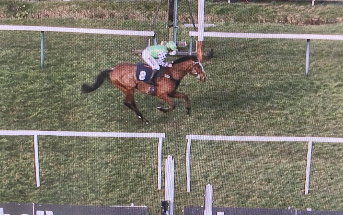 Amateur Jockeys GB tweet media