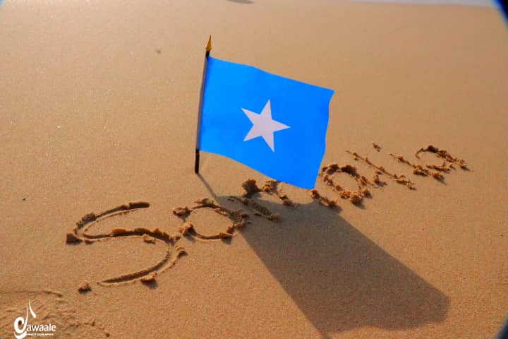 Dalmar_DiriE's tweet photo. Halkani waa #Degmada #eyl #Puntland #Somalia Tas O Caan Ku ah Beraha Iyo xoolaha Nool waa Degmo U Qaybsanta Lapo Qaybood Lana Kala dhho Baday iyo daawad Waxan Ku qaatay Qayp Noloshayda Xiliyo an Tagay #Baahinta #Bilicda #Dalka @Ahmett_Dahir @ArahmaanAhmed @HFaatix @Husseinsabrie https://t.co/TkNHHnJJLT