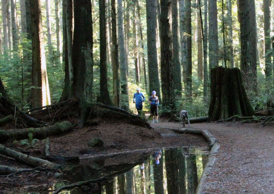 RunRichmondBC's tweet photo. It's #SundayRunday!! The #RunRichmondBC crew is at #PacificSpiritPark near #UBC this morning, for group #trailrunning fun! #run #runners #fit #fitness #training #trails #runbuds https://t.co/pjX7ypZ5Ik