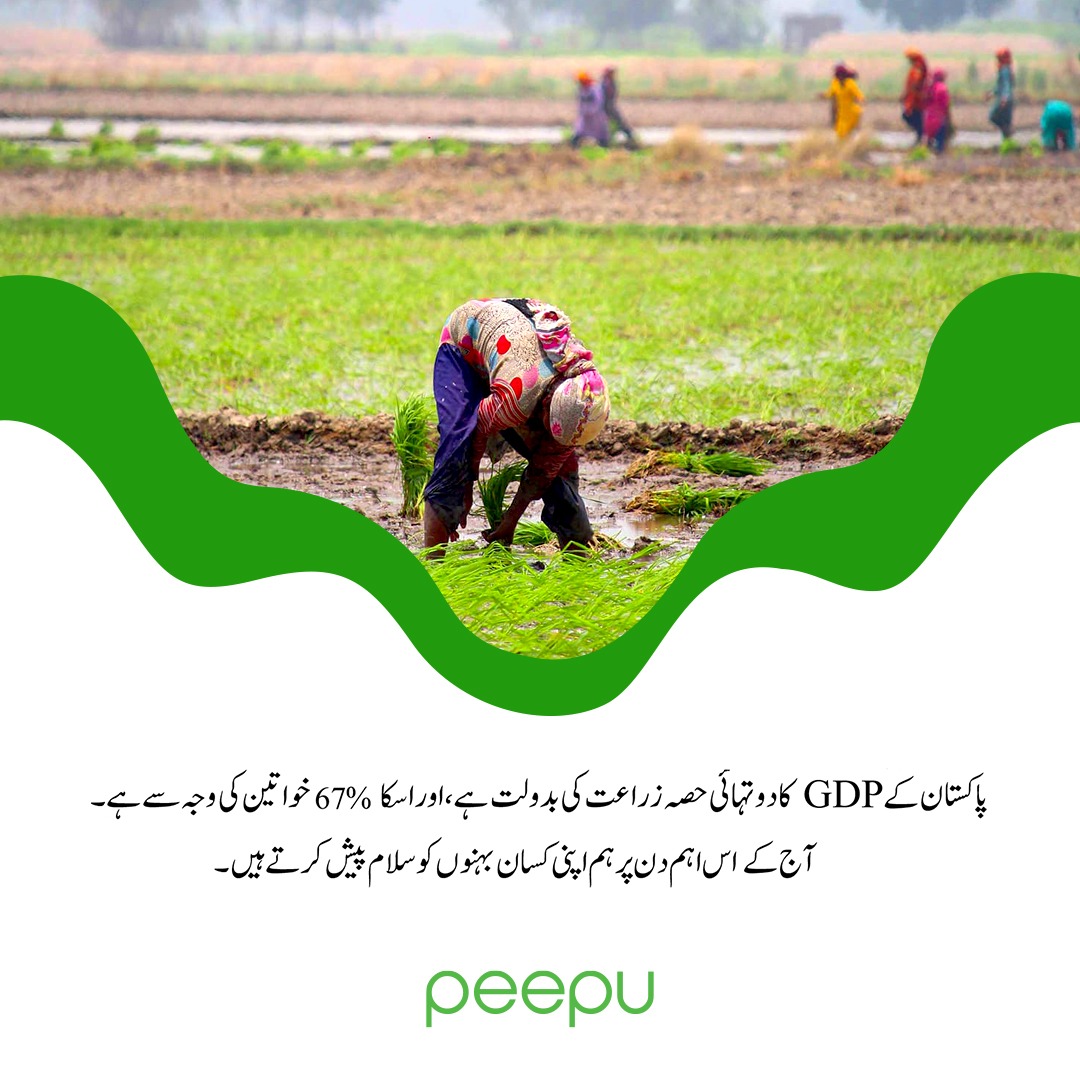 #AuratAzadiMarch2020 #AuratAzadiMarch2020 #AuratMarch #WomensDay2020 #womenempowerment #WomensDay2020 #FarmLife #Pakistan #PakistanZindabad #PakistaniGirl