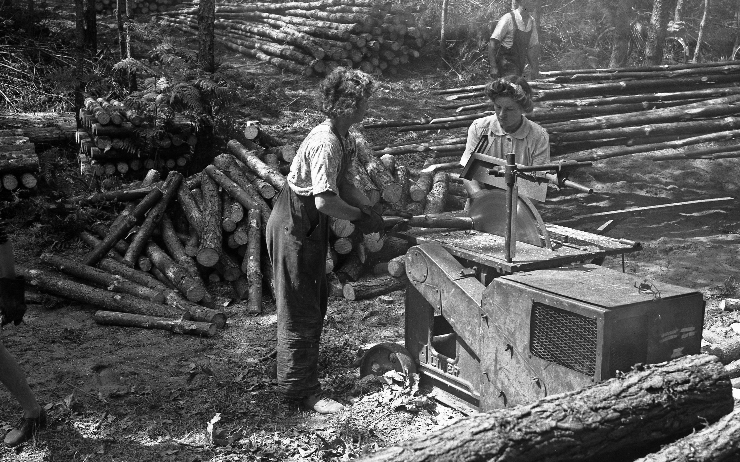 Remembering the lumberjills of World War Two: Women's Timber Corps founded  80 years ago - Forestry Journal
