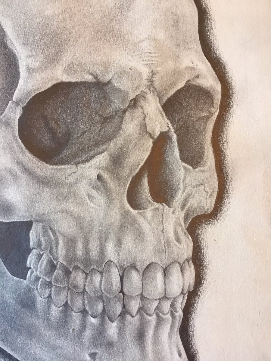 gandomer's tweet image. after a few weeks of working on this thing I’m finally done. whole skull was done with BIC mechanical pencil on Strathmore paper