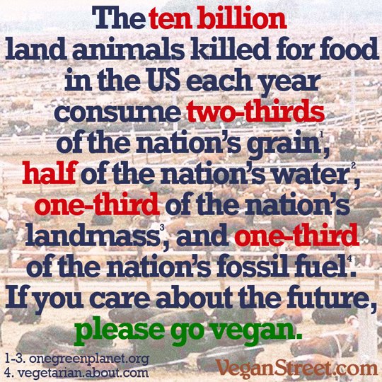 VeganFallacy's tweet photo. Happy 8th of #EnvironMarch!
Each year in the US, 10 billion land animals are raised to be fed to 300 million people. What's the argument for this being a wise use of resources?
#VeganStreet #resources #environment #YourVeganFallacyIs #AnimalRights #SocialJustice #Vegan https://t.co/kCVJUvbvJN
