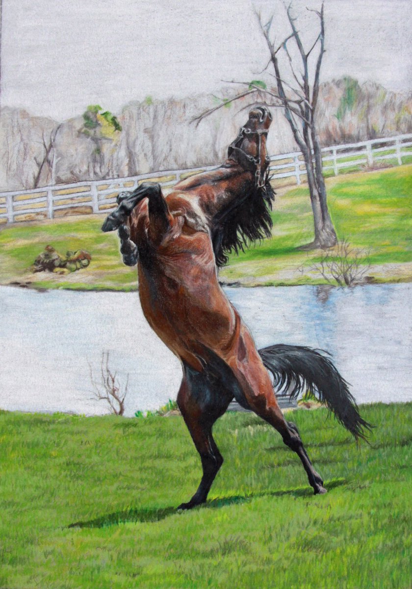 Keith Opstad tweet media