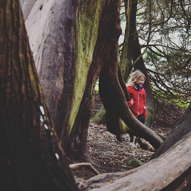 Kelly Mill tweet media