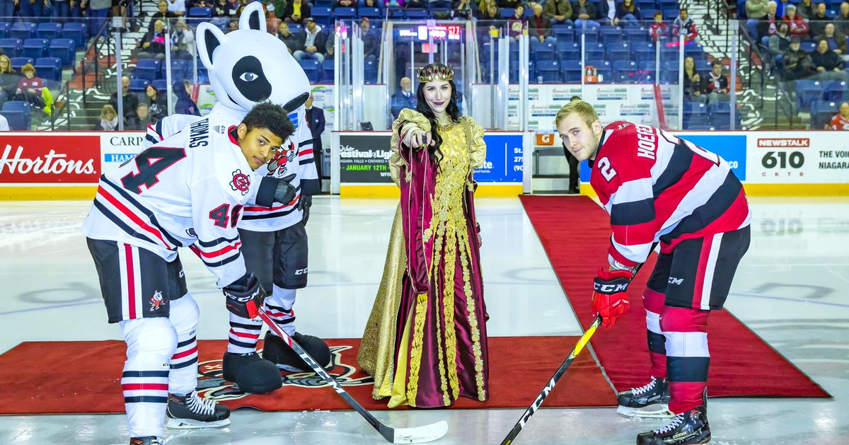 Medieval Times - Toronto tweet media
