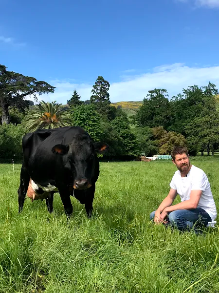 HappyCowMilkNZ's tweet photo. With the Happy Cow 2.0 model, everyone can be a farmer, whether it’s with 5 cows or 50 - we’re putting the power back into the hands of farmers. 

Want to know more? Sign up to our newsletter for weekly updates >> https://t.co/xzPVQendil

#DoDairyDifferent #CowsWithCalves https://t.co/E20dzFocLY