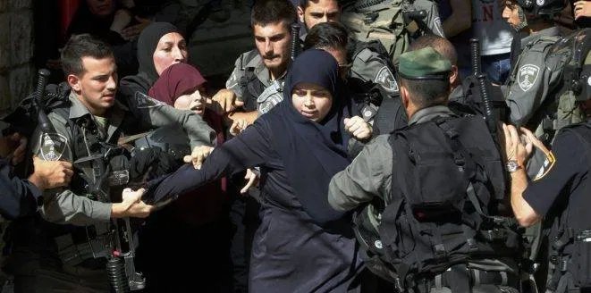 TyseerIbrahim's tweet photo. We should think to take
a serious action against
savage IDF
#FreePalestine #Nakba71 #GreatReturnMarch #RightOfReturn #GazaToUN #GazaSiegeCrime
#قروب_فلسطيني #ثائرون_فلسطينيون
#BDS #GroupPalestine #StopArmingIsrael #IsraeliCrimes
#micropoetry #haiku #haikuchallenge #amwriting https://t.co/k0x0sg4KKH