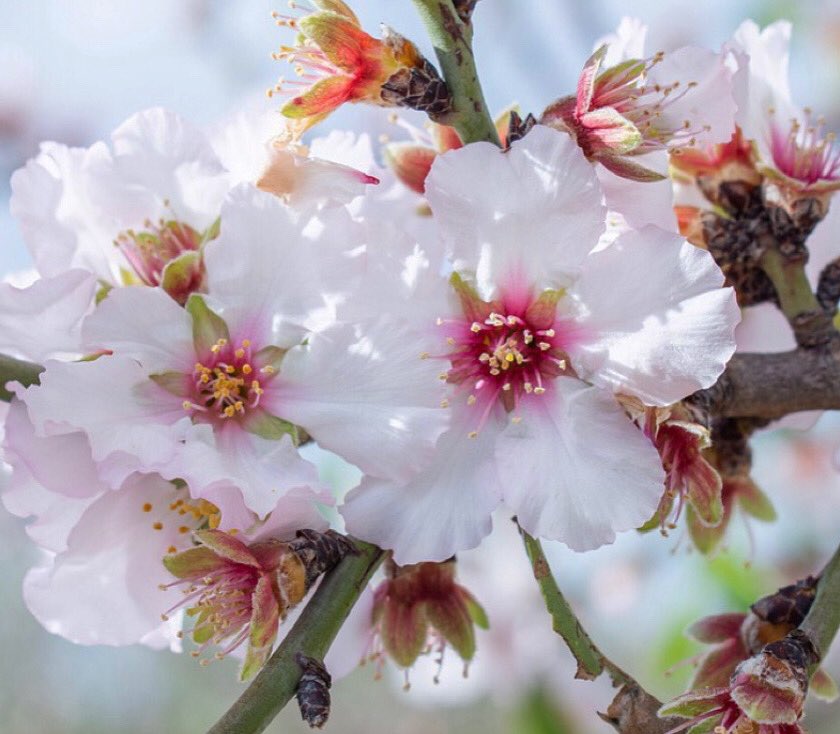 HOPKINS AG tweet media