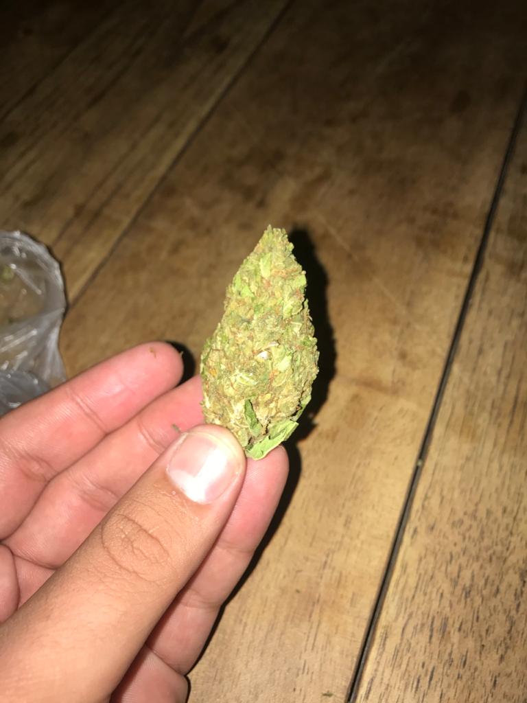 Canabianonato's tweet photo. Me encontro em uma fase da vida q esse bud vale muito mas muita mais q mta gnt.. hauahaua https://t.co/pWtciQSyDg