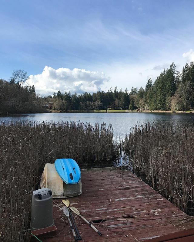 Walking to a different collection of trees and old things bolsters my sanity a bit. Takes the edge off the cabin fever. 
I also love that I found a discrete place to pee on the walk back. #coronaviruscabinfever ift.tt/2W2xKkO