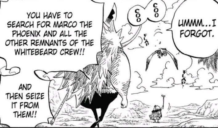 Wamiq Marco Fears That He Ll Target Sphinx Island Next Which Would Mean That He Cannot Leave So How Can Marco Show Up At Wano With The Threat Of Weevil Looming