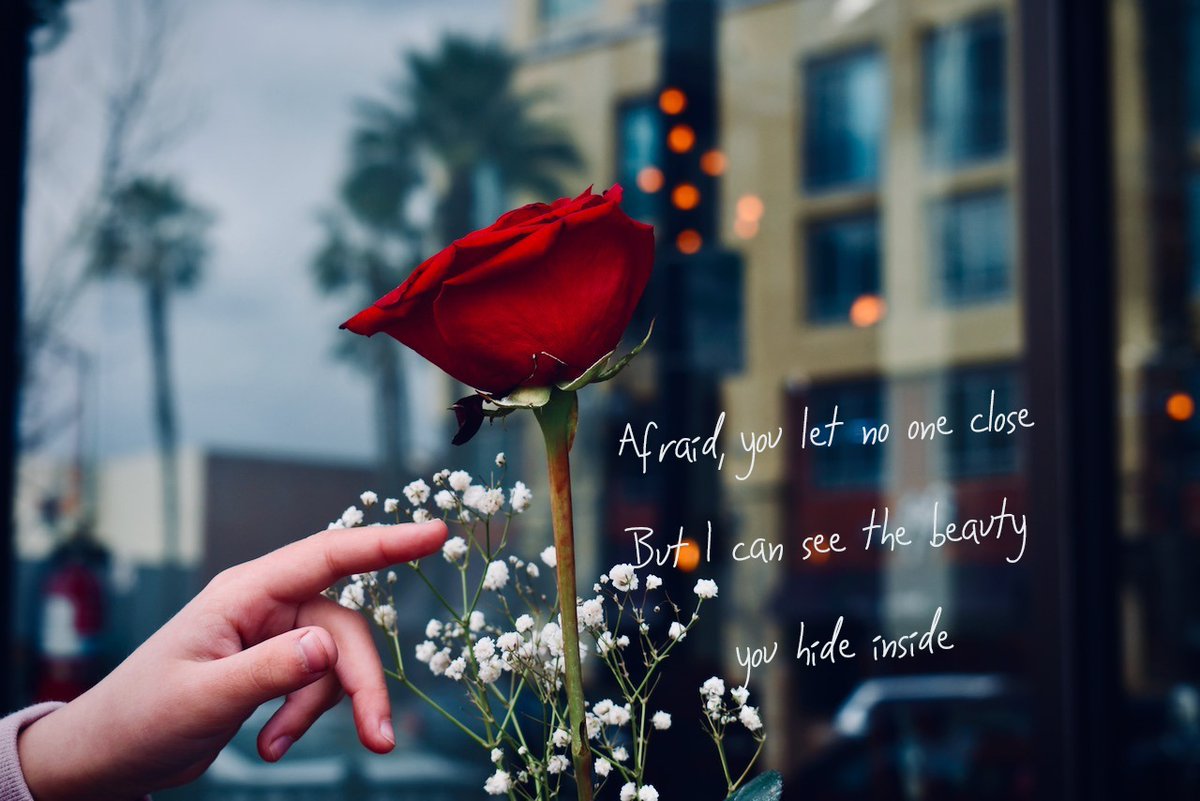 HITRECORD's tweet photo. The right person will see it 🌹 || A #Photopoem created collaboratively by the HITRECORD community https://t.co/HPKyE7CZ2x