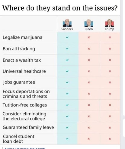 yclaes623's tweet photo. The decision is clear. #Bernie2020 #BernieInGrandRapids #BernieInDetroit #BernieInChicago #Biden https://t.co/jAKFu45x1F