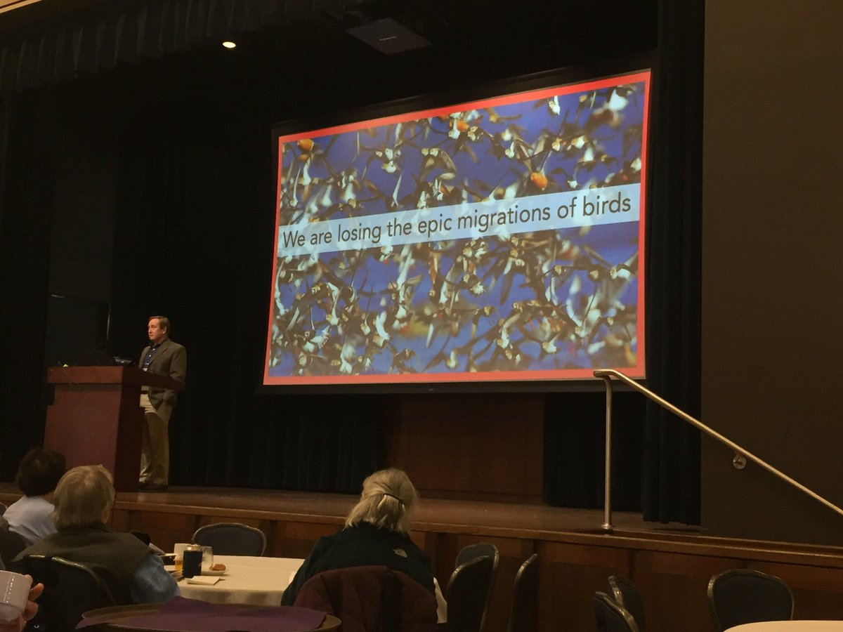 erlynerdgetbird's tweet photo. what a week! 1st a great visit w/ @clarkrushing at UMass, then talks by @PeterPMarra, @chiroxiphia81, &amp; @ProfRubega at the @MassAudubon meeting. migration truly is epic, &amp; the new tech &amp; modeling approaches give me hope as we further our understanding of the challenges for birds. https://t.co/NFd3H349LE