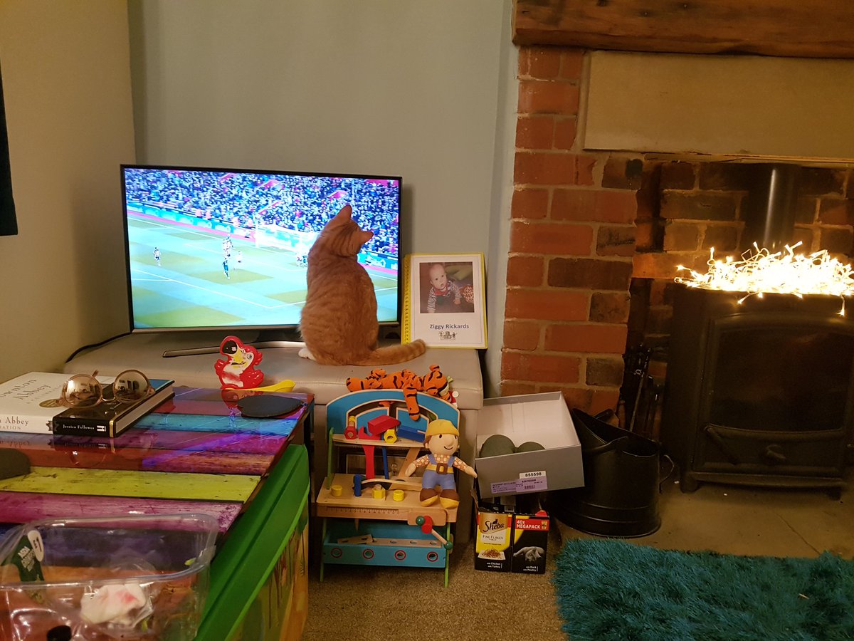DebsyDoDah's tweet photo. George doing what he loves the most never fails to make me chuckle #matchoftheday #chasingballsโฝ๏ธ https://t.co/Qpw4O4uN2I