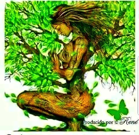 Wiyear17Yepes's tweet photo. #EntreDulzura
#YFuerza
#SehaForjado
#laMasNoble
#Belleza...
#BuenDia
#MUJER....
#SIEMPRE https://t.co/2pDKkO6UOk