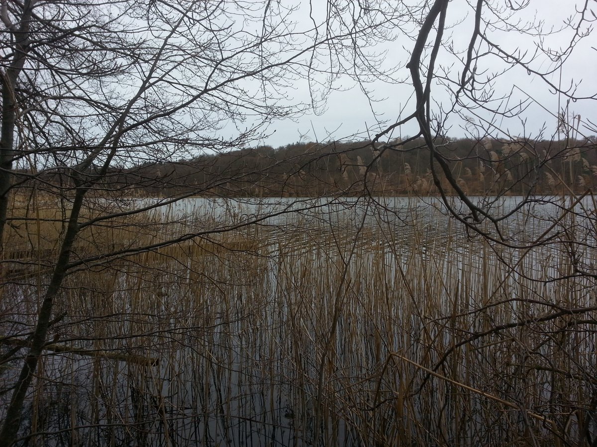 marmottewandern's tweet photo. #Tageswanderung Berliner Umland Barnim (Prendener Seenkette) 15.3.2020: https://t.co/1rca2Lm5e3 …  #MarmotteWanderreisen #marmottewandern #Frauen #Berlin #Wandern #barnim #lottschesee #wanderlust #frühlingsblüher #frühling #PrendenerSeenkette #brandenburg #Wandlitz #liepnitzsee https://t.co/jeArEMHEIg