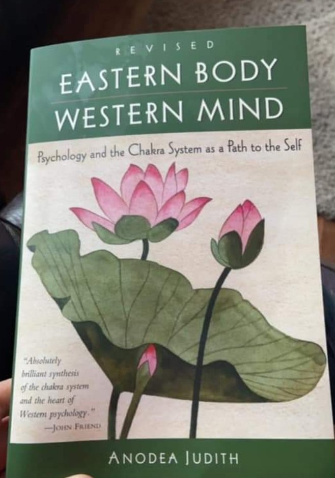 ZsaZsaLovely's tweet photo. Has anyone read this book? If so can you share what made it great?
#anodeajudith #easternbodywesternmind https://t.co/Sp5aPspRvw